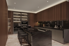 PHS01.01-HR_open_dark